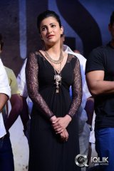 Race Gurram Movie Success Meet